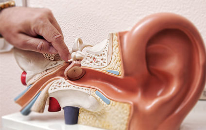 Audiología